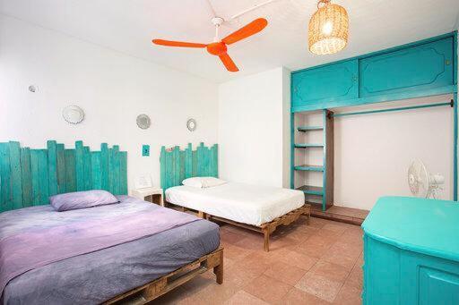 Casa Cálido Hotel Cozumel Quarto foto